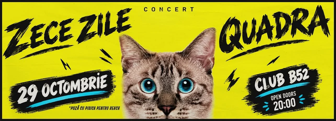 Zece Zile & Quadra | Live